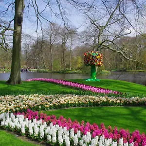 https://bed-and-breakfast-ineke-en-john.amsterdamhotelsnl.com